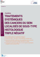 Vignette SYNTSEINQ123TN24.jpg