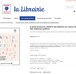 A pied d'oeuvre_Mettre les piétons au coeur de la fabrique.png