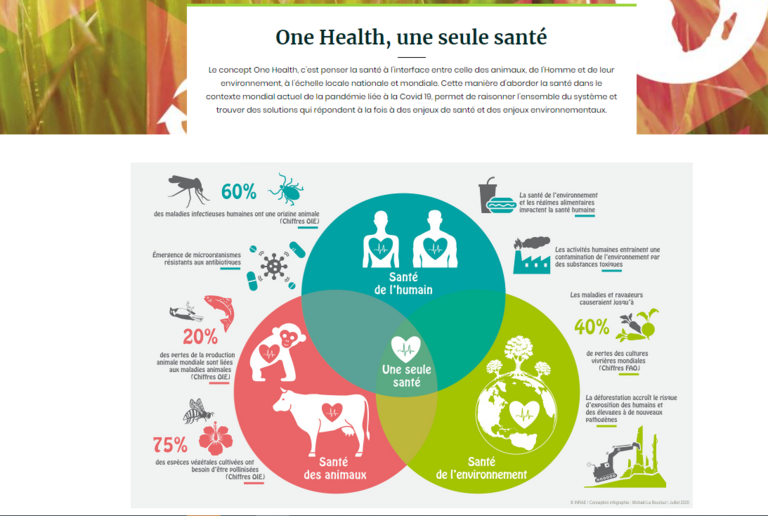 One health, une seule santé.png